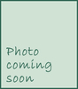 Pieris japonica 'Variegata' | Deciduous & Evergreen Shrubs